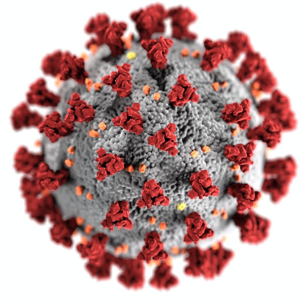 coronavirus