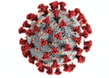 coronavirus