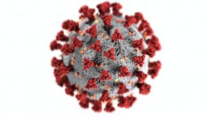 coronavirus