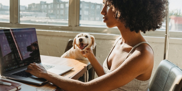 african american female freelancer with laptop and dog
