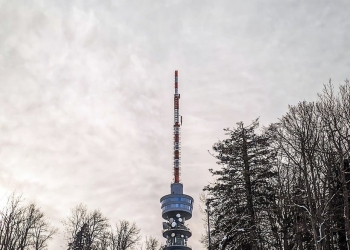 cold snow wood landscape