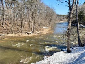Raisin RIver 2[2951]