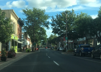 Pitt Street Closures