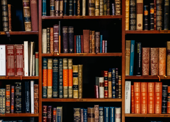 Important Things You Need To Know Before Filing A Lawsuit