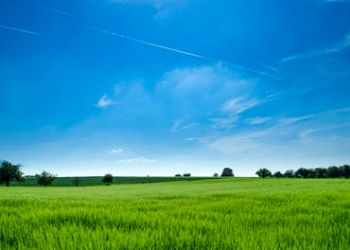 The Importance of a Land Surveyor Can’t Be Ignored – Here’s Why 