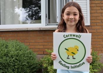 Cornwall Gosling Initiative: Summer Reading Challenge wrap up