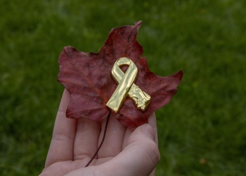 The Ontario SPCA recognizes cats in wartime with new commemorative Animals in War Pin