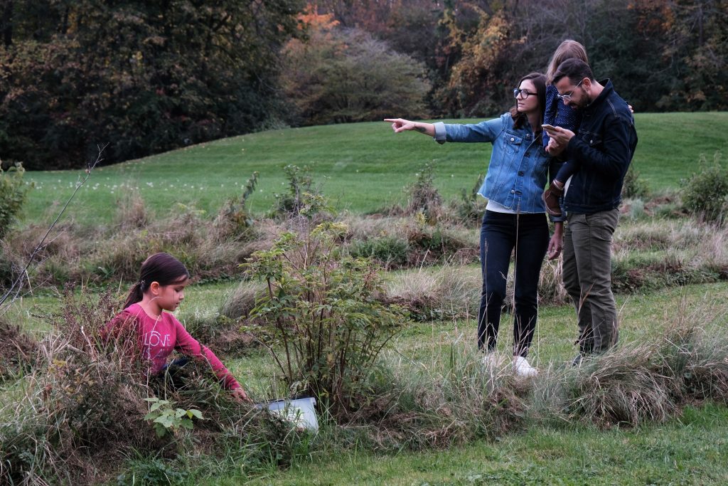 Media Release_Explore Cornwall and Surrounding Area of SDG with the Raisin Region GeoAdventure