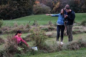 Media Release_Explore Cornwall and Surrounding Area of SDG with the Raisin Region GeoAdventure
