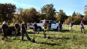 Media Release_RRCA Partners with SLC and City of Cornwall to Plant 300 Trees in Local Park