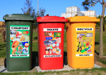 6 Useful Tips On How To Store Different Types Of Waste
