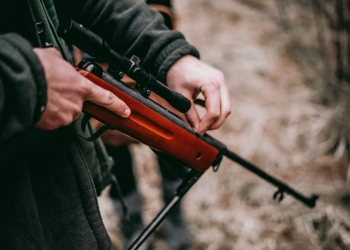 How To Choose The Right Gun For Your Specific Needs