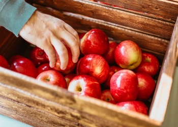 red apples on wooden crates