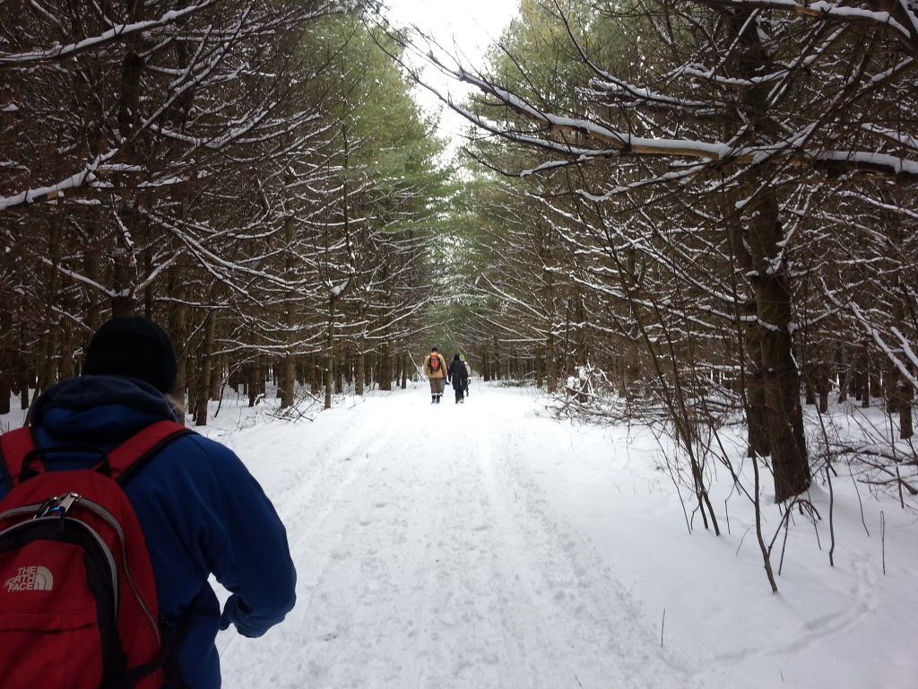 Winter Hike, Warwick Forest CA