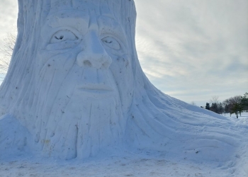 Giant snow sculpture takes root in Lamoureux Park