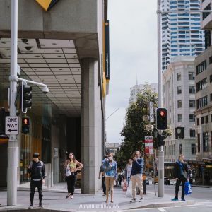 people walking on pedestrian lane