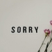 word sorry beside flowers on white surface