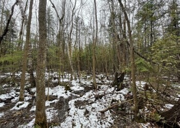 Township of South Glengarry to Donate 115 Acres of Forests to RRCA 