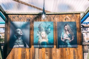 frdm-TsRCUor4Nb8-unsplash