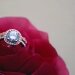 closeup photography of clear jeweled gold colored cluster ring on red rose