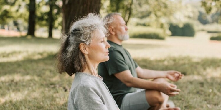 elderly people meditating in the park