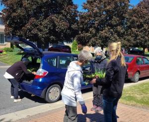 C946E075-9EFF-4040-9535-BE31D47E3616_1_105_c