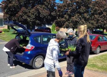 Incredible Edibles free plant giveaway