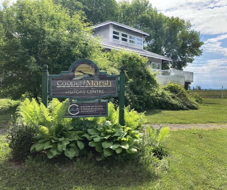 Media Release_RRCA Reopens Cooper Marsh Visitors Centre