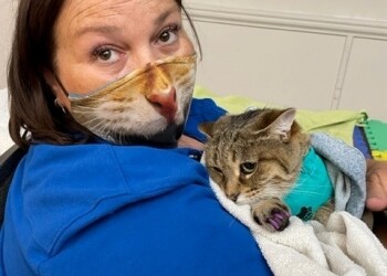 Ontario SPCA and Humane Society mobile spay/neuter unit rolls into Cornwall 