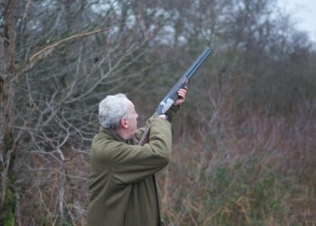 cold snow wood landscape