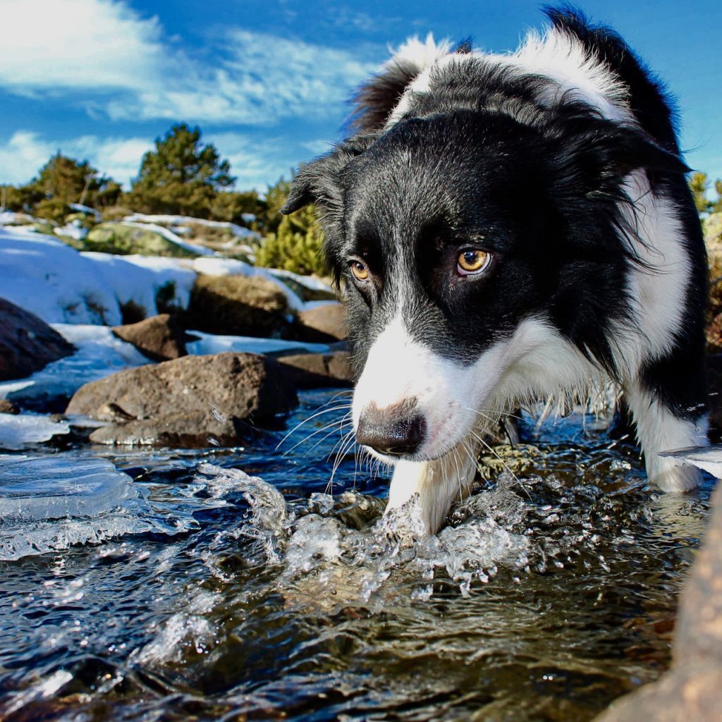close up photo of water on river