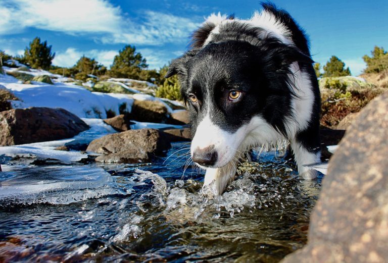 close up photo of water on river