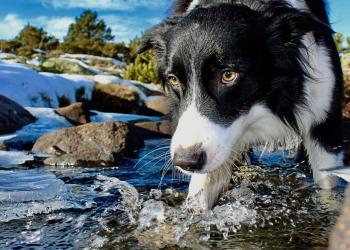 close up photo of water on river