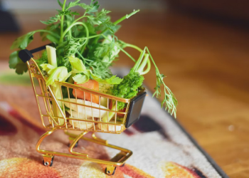 Lifestyle Tips for Smart Shopping: 6 Ways to Use Coupons