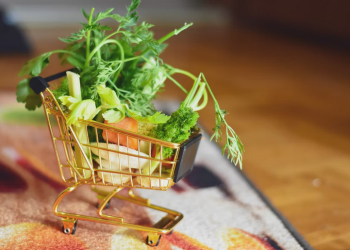 Lifestyle Tips for Smart Shopping: 6 Ways to Use Coupons