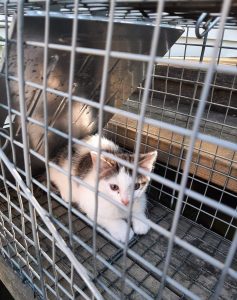 2022-09-06-22-59-05-739