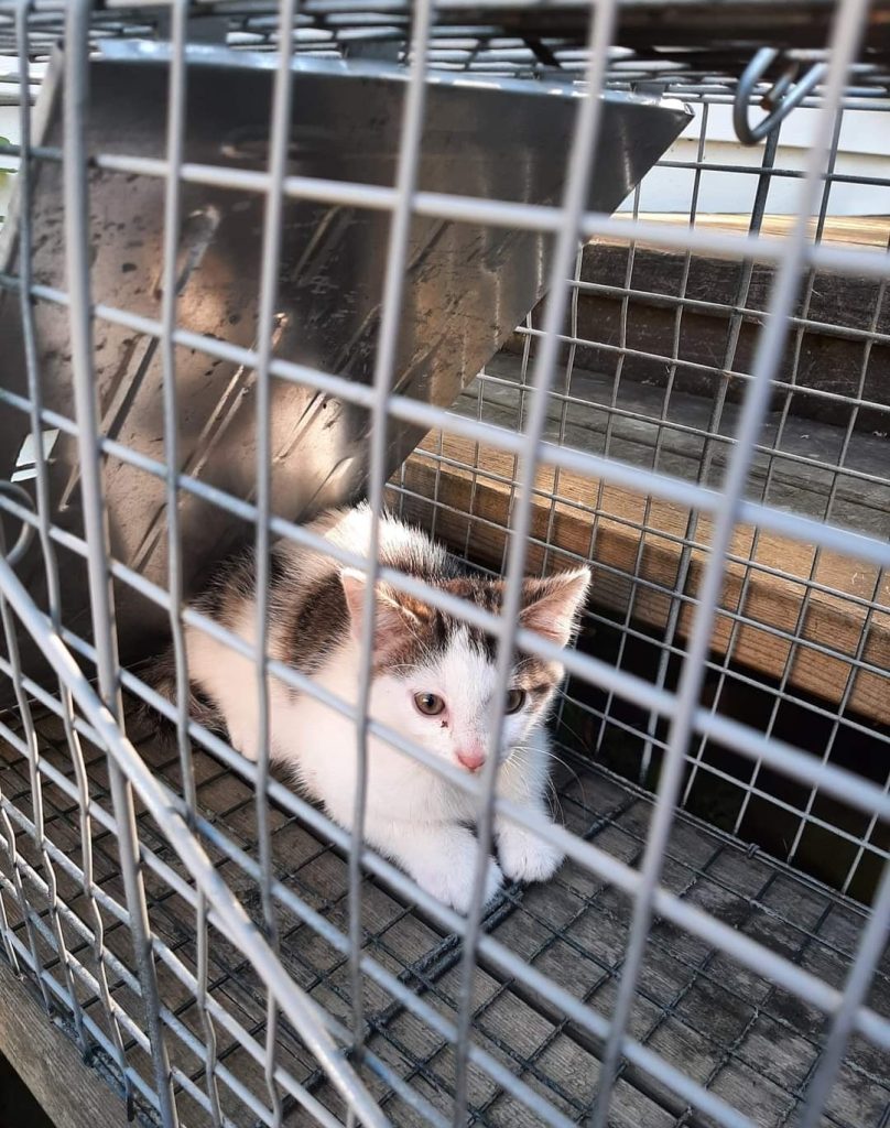 2022-09-06-22-59-05-739