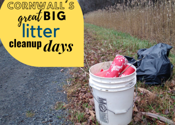 It’s almost time for the City’s 2nd Annual Great Big Litter Cleanup!