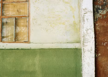 Mold In The Home: How Dangerous Is It?