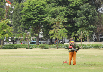 5 Things to Check Before Hiring a Lawn Mower Company in Canada