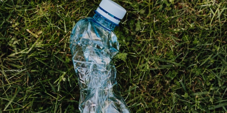 crumpled plastic bottle on green lawn