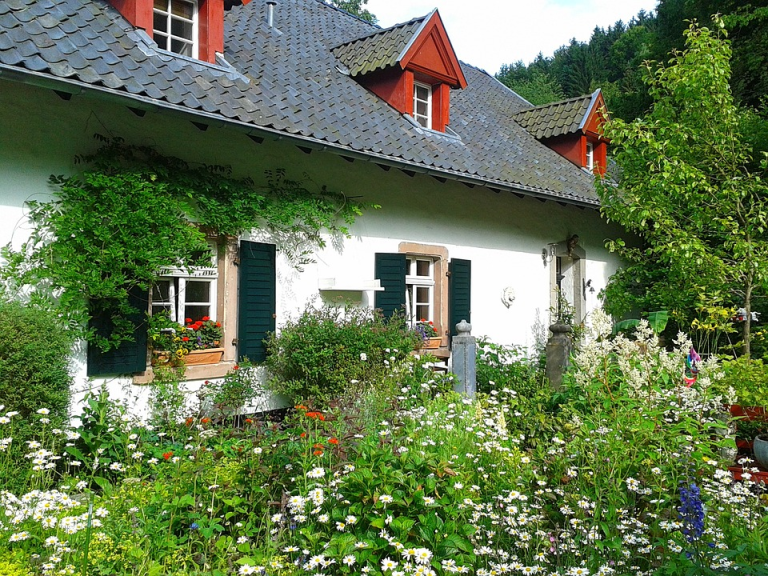 pasted image 0 (46)