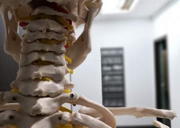 A Quick Guide To Understanding The Benefits Of Osteopathy