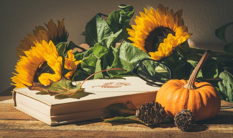 pumpkins-4572707_1920