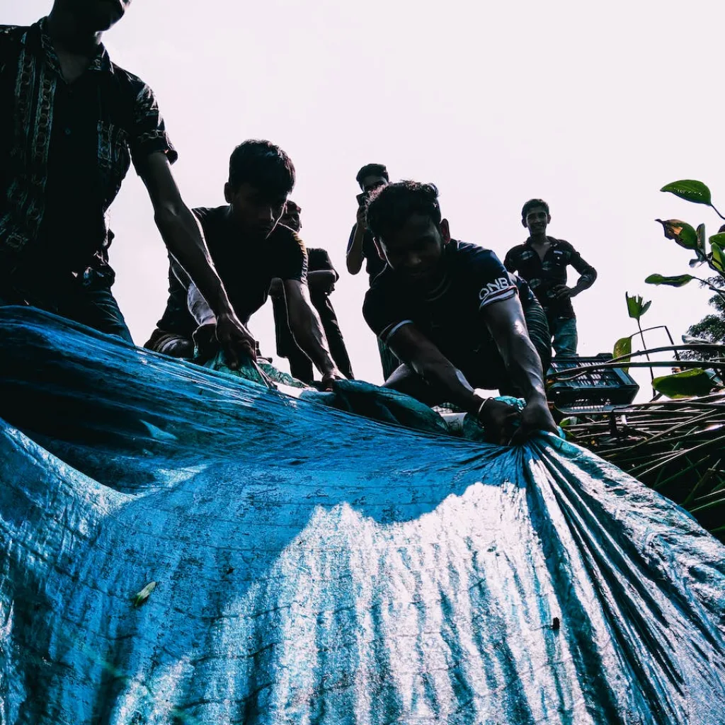 young men pulling tarp