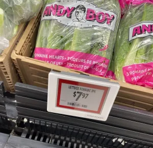 325010935_479900234305070_7907084295995247006_n