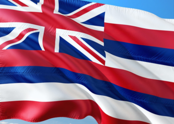 Foods That You Need to Try When in Hawaii