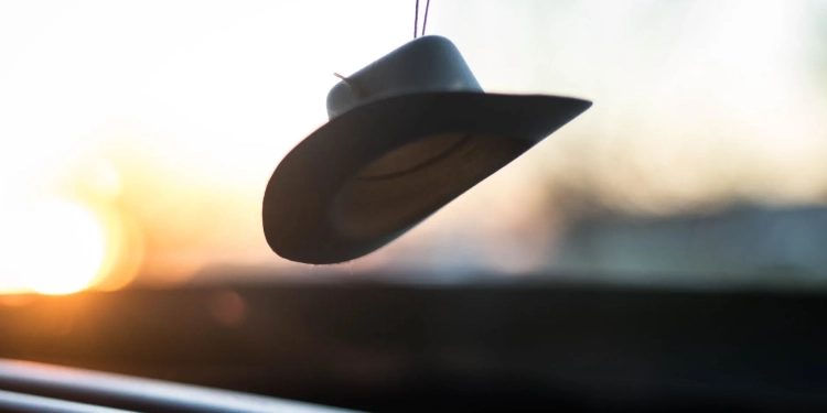 white fedora hat hanged during golden hour