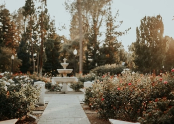 How Buying a Fountain Can Improve the Visual Appearance of Your Backyard