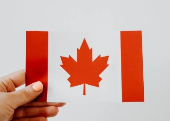 a person holding a canadian paper flag